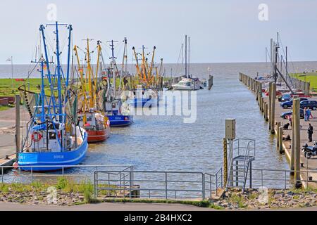 Kutterhafen am Dorumer tief in Dorum-Neufeld, Nordseeresort Dorum, Land Wursten, Wesermünde, Nordsee, Nordseeküste, Nationalpark Niedersächsische Wattenmeer, Niedersachsen, Deutschland Stockfoto