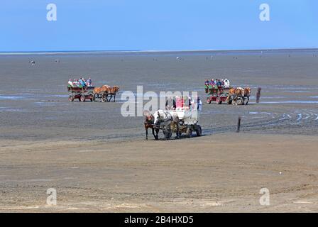 Wattenmeer bei Ebbe mit Wattwagen im Landkreis Duhnen, Nordseebad Cuxhaven, Elbmündungsgebiet, Nordsee, Nordseeküste, Niedersachsen, Deutschland Stockfoto