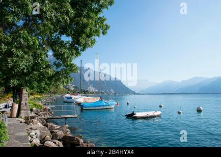Promenade an der Riviera von Montreux, Am Genfersee, Kanton waadt, Schweiz Stockfoto