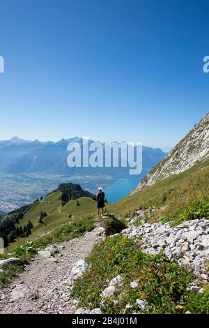 Mit Blick auf den Genfersee von Rochers-de-Naye, Montreux, Waadt, Schweiz Stockfoto