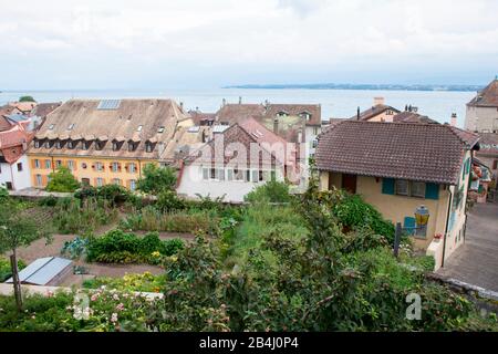 Schlossgebiet, Nyon, Schweiz Stockfoto