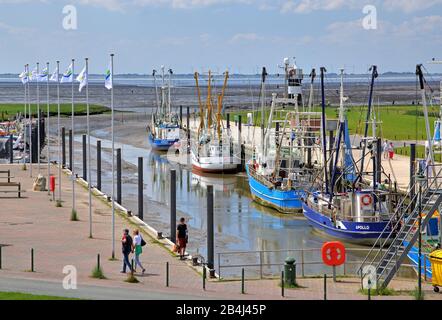 Sielhafen mit Garnelenschneider bei Ebbe, Nordseebad Wremen, Land Wursten, Nordsee, Nordseeküste, Niedersachsen, Deutschland Stockfoto