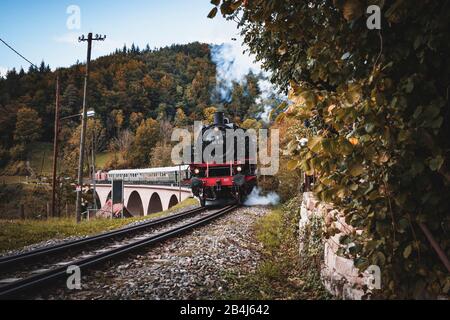 Dampflok, Schwäbische Waldbahn, Viadukt, Herbst, Rudersberg, Baden-Württemberg, Deutschland, Europa Stockfoto