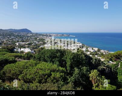 Forio, Giardini della Mortella, botanischer Garten, prächtiger Landschaftspark mit vielen exotischen Pflanzen mit Blick auf Forio, Ischia, Italien Stockfoto