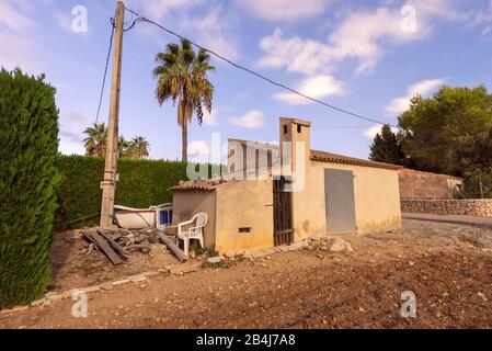 Spanien, Mallorca, Pollensa, Blick auf einen alten Schuppen, im Vordergrund ein ungeordnetes Feld, im Hintergrund Palmen und ein Lichtpfahl. Stockfoto