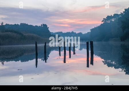 Deutschland, Mecklenburg-Vorpommern, Prerow, morgendliche Stimmung am Prerow-Bach, Ostsee. Stockfoto