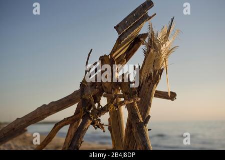 Nahaufnahme einer Holzfeder aus dem Flotsam am Weststrand auf der Halbinsel Fischland - Darss an einem menschenleeren Strand bei Sonnenuntergang im Sommer, Ostsee im Hintergrund verwackelt Stockfoto