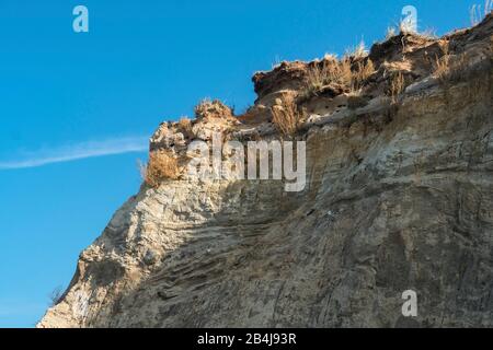 Fischland, Darß, Hochufer, Steilküste zwischen Ahrenshoop und Wustrow Stockfoto
