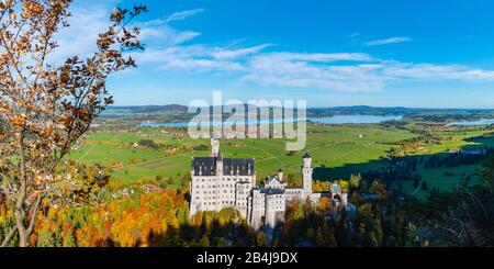 Schloss Neuschwanstein bei Hohenschwangau, Romantische Straße, Ostallbräu, Bayern, Deutschland, Europa Stockfoto