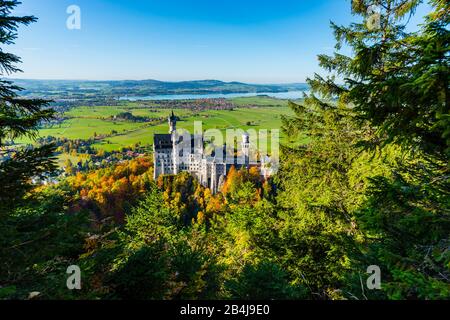 Schloss Neuschwanstein bei Hohenschwangau, Romantische Straße, Ostallbräu, Bayern, Deutschland, Europa Stockfoto