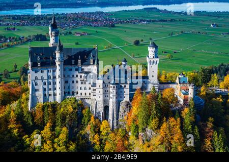 Schloss Neuschwanstein bei Hohenschwangau, Romantische Straße, Ostallbräu, Bayern, Deutschland, Europa Stockfoto