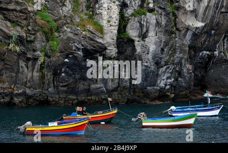 Bunte Boote im Hafen, Porto de Camara de Lobos, Insel Madeira, Portugal Stockfoto