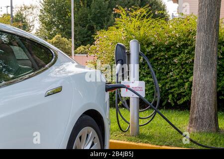 Tesla Elektroauto, E-Auto beim Aufladen an der Ladenkabel, Bussolengo, Venezien, Italien, Europa Stockfoto