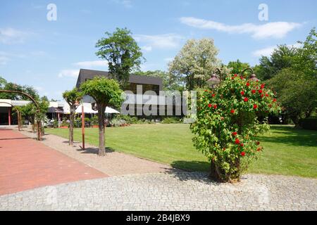 Café am Rosengarten, Bad Zwischenahn, Niedersachsen, Deutschland, Europa Stockfoto