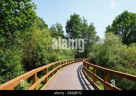 Böschung am Zwischenahner Meer, Bad Zwischenahn, Niedersachsen, Deutschland, Europa Stockfoto