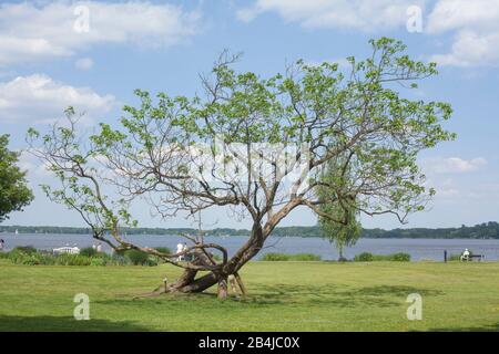 Kurpark, Bad Zwischenahn, Niedersachsen, Deutschland, Europa Stockfoto