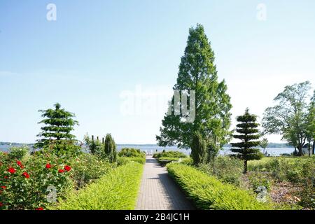 Kurpark, Bad Zwischenahn, Niedersachsen, Deutschland, Europa Stockfoto