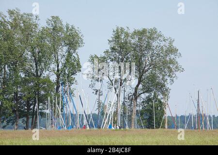 Marina Bünting, Bad Zwischenahn, Niedersachsen, Deutschland, Europa Stockfoto