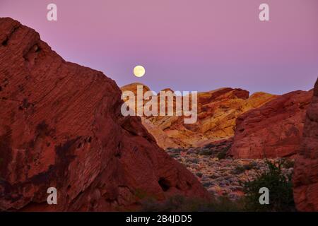 USA, Vereinigte Staaten von Amerika, Nevada, Valley of Fire, Nationalpark, Sierra Nevada, Kalifornien Stockfoto