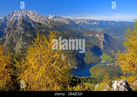 Blick vom Gipfel Jenner (1874m) auf Königssee und Watzmann (2713m), Schönau am Koenigssee, Berchtesgadener Land, Oberbayern, Bayern, Deutschland Stockfoto