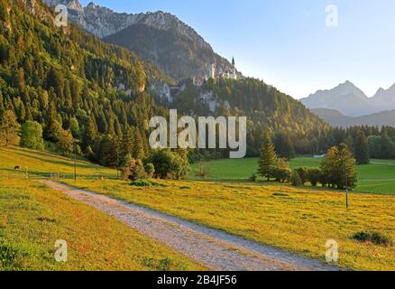 Wanderweg mit Schloss Neuschwanstein, Schwangau bei Füssen, Romantische Straße, Ostallbräu, Allgäuer, Schwaben, Bayern, Deutschland Stockfoto