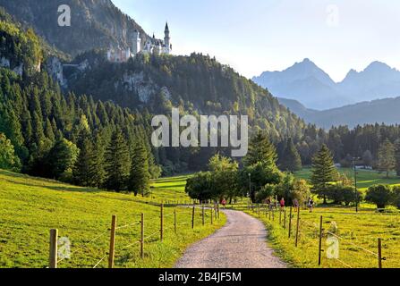 Wanderweg mit Schloss Neuschwanstein, Schwangau bei Füssen, Romantische Straße, Ostallbräu, Allgäuer, Schwaben, Bayern, Deutschland Stockfoto