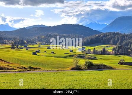 Herbstlandschaft der Buckelwiesen bei Krün, Werdenfelser Land, Oberbayern, Bayern, Deutschland Stockfoto