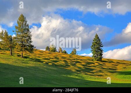 Herbstlandschaft der Buckelwiesen bei Krün, Werdenfelser Land, Oberbayern, Bayern, Deutschland Stockfoto