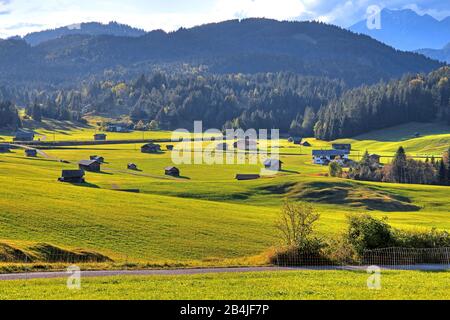 Herbstlandschaft der Buckelwiesen bei Krün, Werdenfelser Land, Oberbayern, Bayern, Deutschland Stockfoto