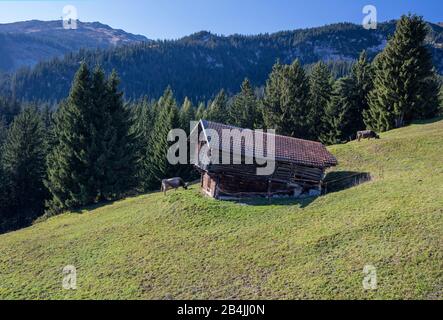 Berghütte, Hütte, im Winkel, Alpen, Schweiz, Graubünden, blauer Himmel, Bäume, Conifer, Stockfoto