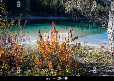 Lake Cauma, türkisfarbenes Wasser, Herbst, Wald, Stockfoto