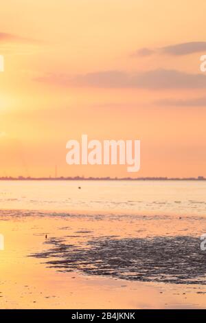 Europa, Deutschland, Niedersachsen, Otterndorf. Sonnenuntergang über der Elbmündung vor Cuxhaven. Im Vordergrund spielt sich das Abendlicht in Watte ab Stockfoto