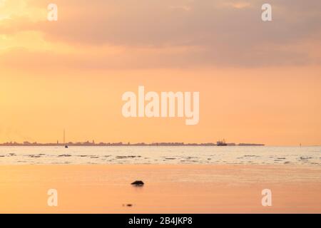 Europa, Deutschland, Niedersachsen, Otterndorf. Sonnenuntergang über der Elbmündung vor Cuxhaven. Im Vordergrund spielt sich das Abendlicht in Watte ab Stockfoto