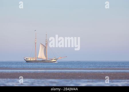 Europa, Deutschland, Niedersachsen, Otterndorf, Elbmündung, holländischer Zweimaster (Zuiderzee, BJ 1910) Stockfoto