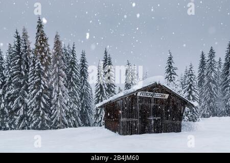 Alte Holzhütte im Ansiei-Tal im Winter, Federavecchia, Auronzo di Cadore, Belluno, Veneto, Italien Stockfoto