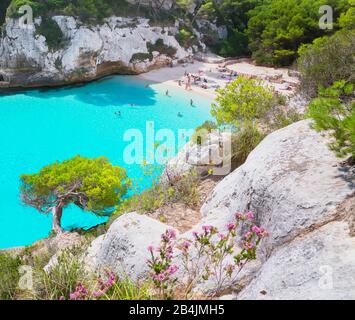 Blick auf Cala Macarelleta, Menorca, Balearen, Spanien, Europa Stockfoto