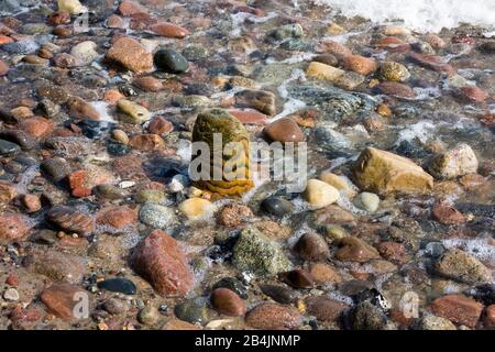 Rügen, Ostseebad Sellin, Buhnenrest, verwittertes Holz Stockfoto