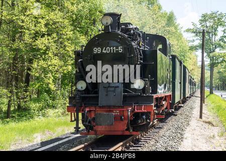 Rügen, Kleinbahn "Racing Roland" mit historischer Dampflok auf der Bundesstraße B196 Stockfoto