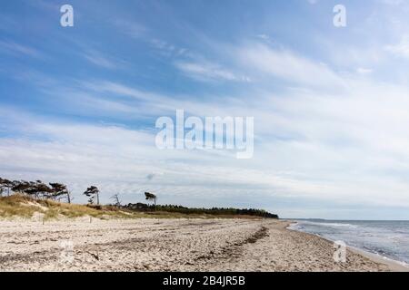 Ostsee, Nationalpark Vormmersche Boddenlandschaft, weiter Sandstrand Stockfoto