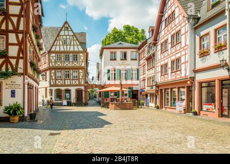 Mainzer Altstadt, Fachwerkhäuser im Kirschgarten, Haus zum Aschaffenberg, Hollagässchen, Kirschgartenbrunnen, Weihergarten Stockfoto