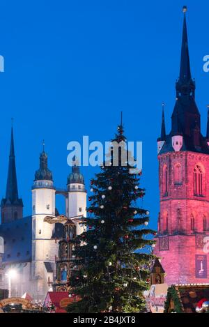 Deutschland, Sachsen-Anhalt, Halle, Marktkirche Unser Lieben Frauen, Weihnachtsbaum, Roter Turm, Saalstadt Halle. Stockfoto