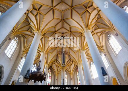 Kolossaler Herr von Dingolfing (1522), Gewölbe, Pfarrkirche St. Johannes, Dingolfing, Niederbayern, Bayern, Deutschland Stockfoto