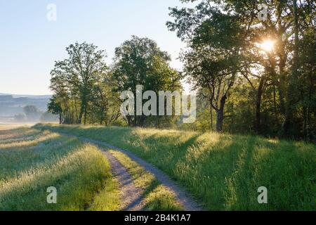 Pfad aan einem Staudamm bei Sonnenaufgang, Naturschutzgebiet Isarmündung, bei Deggendorff, Niederbayern, Bayern, Deutschland Stockfoto