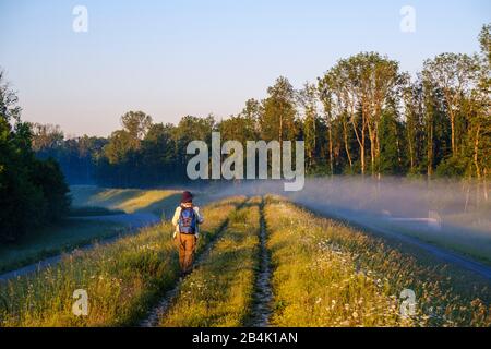 Pfad auf Staudamm bei Sonnenaufgang, Naturschutzgebiet Isarmündung, bei Plattling, Niederbayern, Bayern, Deutschland Stockfoto