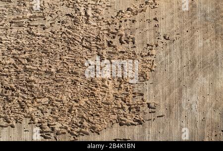 Altes, mit Motten verziertes Holzbrett mit abstrakter Textur Stockfoto