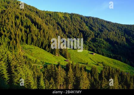 Bodenanger Alm an der Zillertaler Höhenstraße, Zillertal, Tyrol, Österreich Stockfoto