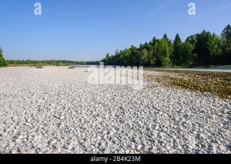 Schotterbank an der Isar, Naturschutzgebiet Isarauen bei Geretsried, Bayern, Deutschland Stockfoto