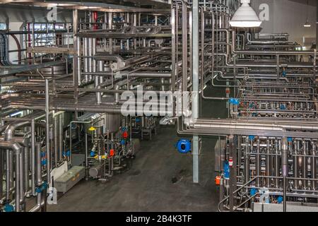 Brisbane, Australien - 8. Dezember 2009: Castlemaine Perkins Brauerei. Filteranlagen, viele Pipelines für Bier, Wasser und CO2 in den Befüllungen Stockfoto