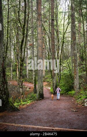 Die Frau mit Hund bevorzugt einen aktiven gesunden Lebensstil beim Wandern in der Natur und geht im nassen Winter auf einem breiten Fußweg den Hang hinunter Stockfoto