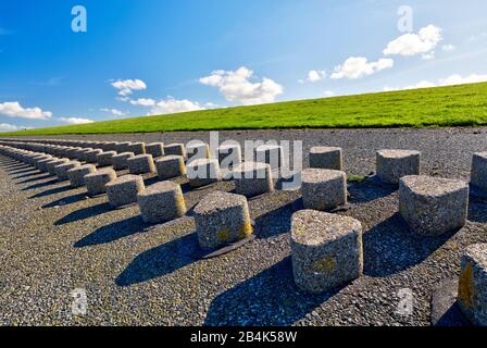 Deich, Norddeich, Sommer, Struktur, Norden, Nordsee, Wattenmeer, Ostfriesland, Niedersachsen, Deutschland, Stockfoto